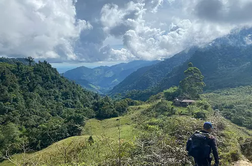 Mujer cabeza de hogar recibirá compensación