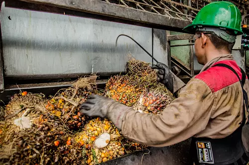 $186 mil millones en créditos asociativos del Banco Agrario