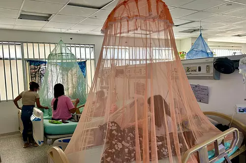 Granada en alerta: casos de dengue siguen en aumento