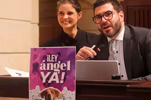 Ley Ángel, a un paso de ser ley en Colombia