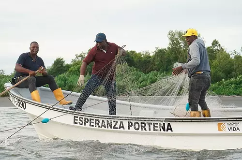 Colombia endurece medidas contra la pesca ilegal