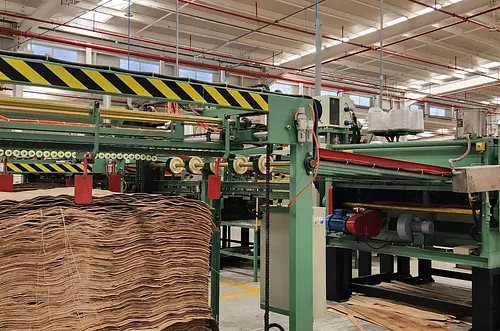 Exportaciones de madera en riesgo: el reto de Colombia