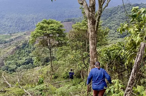 Ordenan restituir tierras a mujer desplazada en Acacías