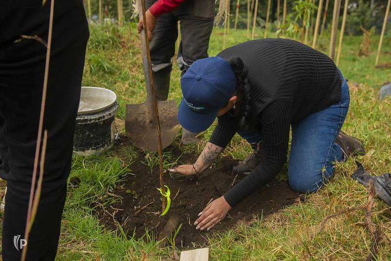 Más de 700 millones de personas padecen hambre en el mundo
