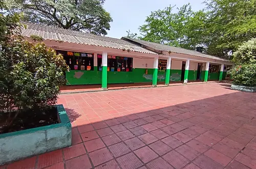 Piden evitar siembra de árboles que dañan colegios