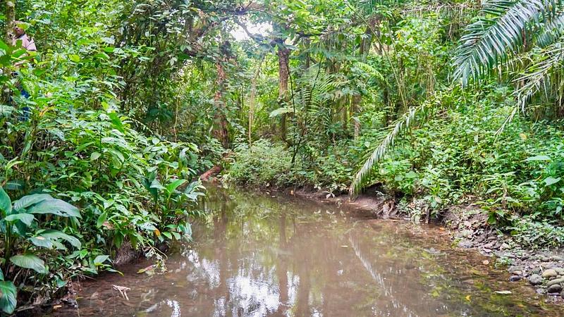 Nace vivero de “Aula Viva” para restaurar humedal Coroncoro