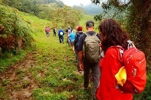 El humedal Coroncoro se abre paso a la conciencia ambiental