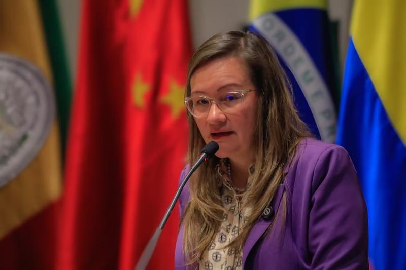 Ministra (e) Cielo Rusinque arremetió contra el Senado