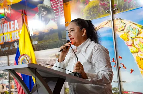 Asamblea del Meta aprueba $264 mil millones de superávit
