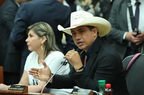 Aprueban en primer debate fondo para el arroz en el Senado