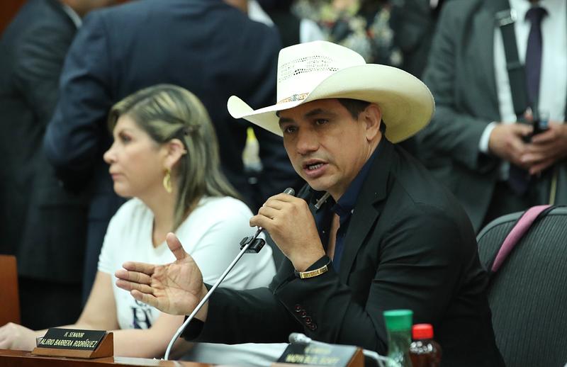 Aprueban en primer debate fondo para el arroz en el Senado
