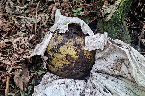 Ejército neutraliza explosivos en zona selvática del Vaupés