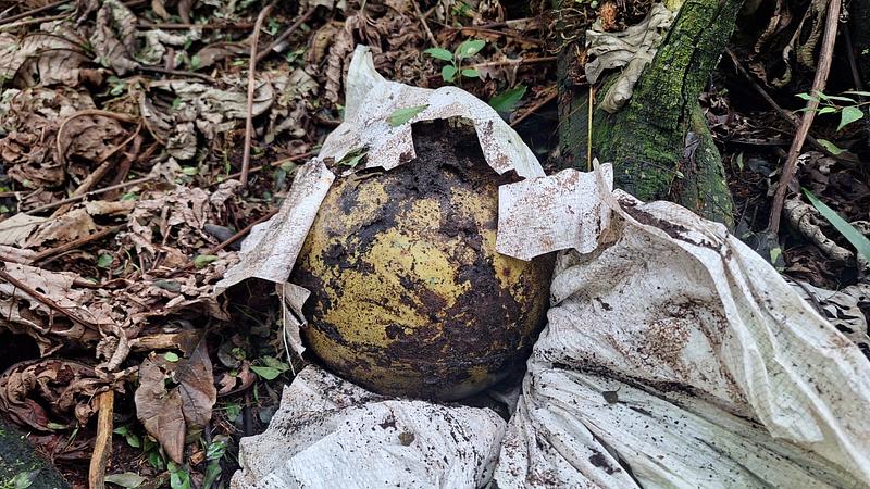 Ejército neutraliza explosivos en zona selvática del Vaupés