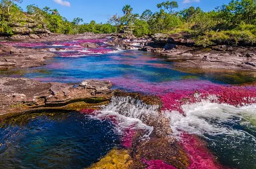Inicia la temporada 2025 en Caño Cristales, Meta