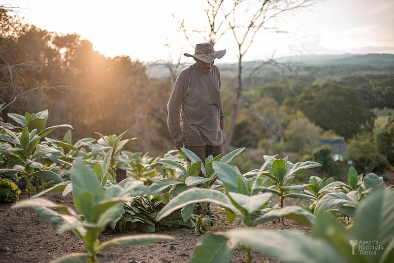 Supernotariado defiende circular que prioriza venta de tierras a la ANT