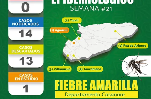 Casanare declara emergencia por riesgo de fiebre amarilla