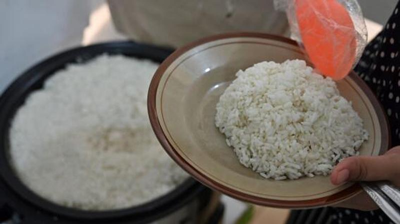 Gobierno regula precio del arroz paddy verde en Colombia