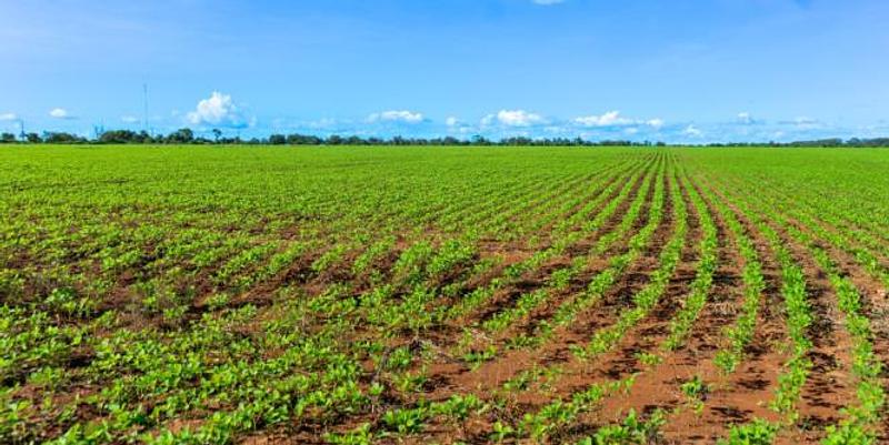 La crisis vial que amenaza con frenar la cosecha de soya en los Llanos