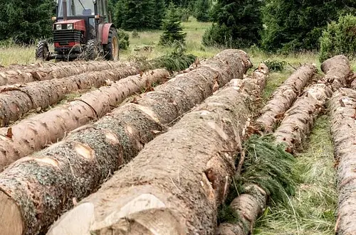 Nariño se convierte en epicentro de la bioeconomía
