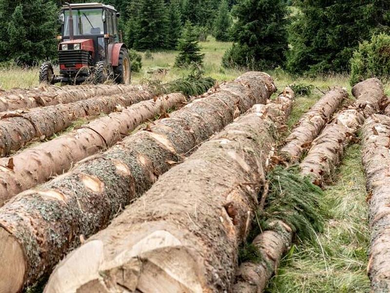 Nariño se convierte en epicentro de la bioeconomía