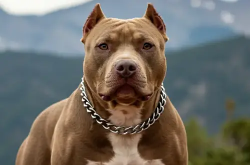 Neurocirujano sobrevive a brutal ataque de pitbulls