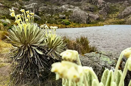 Gobierno apela fallo sobre derechos del páramo Santurbán