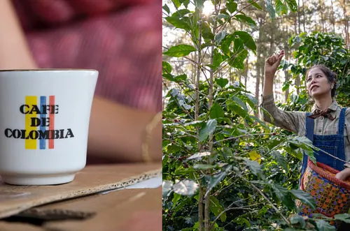 Café sostiene las exportaciones colombianas en 2025