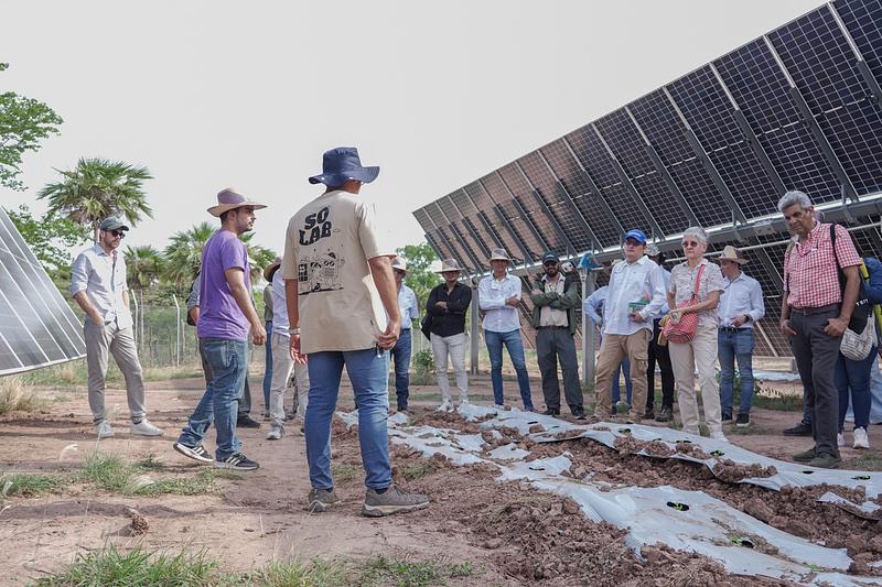 Solenium anuncia inversión de USD 15 millones en 15 minigranjas solares en Colombia