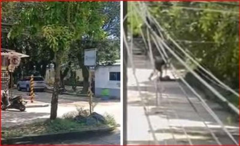 Autoridades investigan ataque en Saravena que dejó dos policías muertos