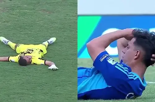 Suspensión temporal en Copa BetPlay por avispas