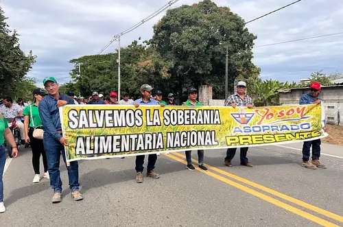 Productores arroceros exigen diálogo directo con tres carteras ministeriales