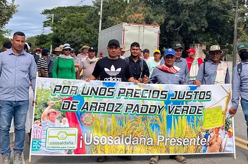 Gobierno avanza en negociaciones para resolver paro arrocero
