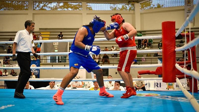 Colombia brilla en la Copa América de Boxeo