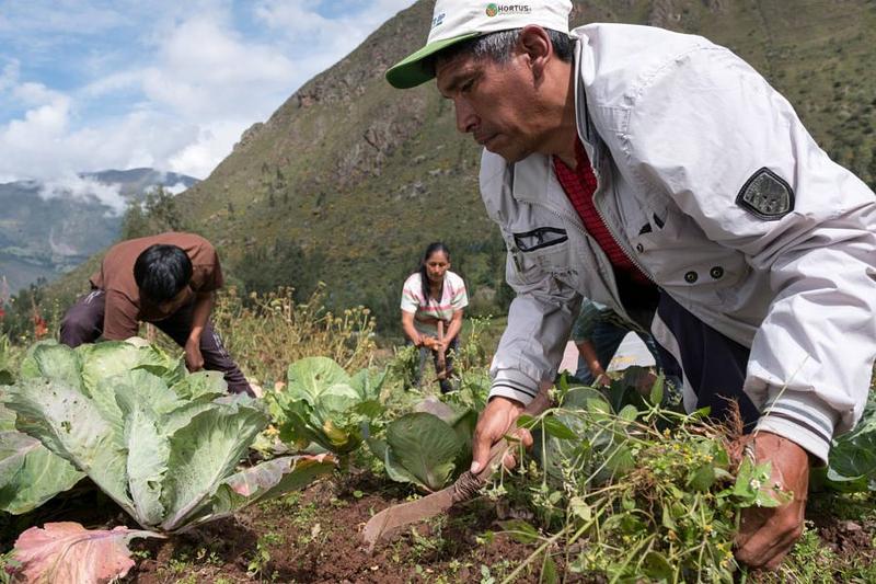 Gobierno impulsa proyectos productivos en 746 hectáreas de Casanare
