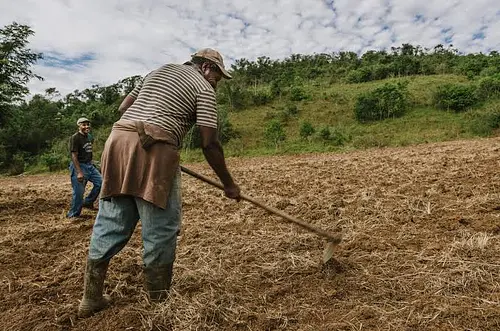 Gobierno defiende protección de suelos agrícolas