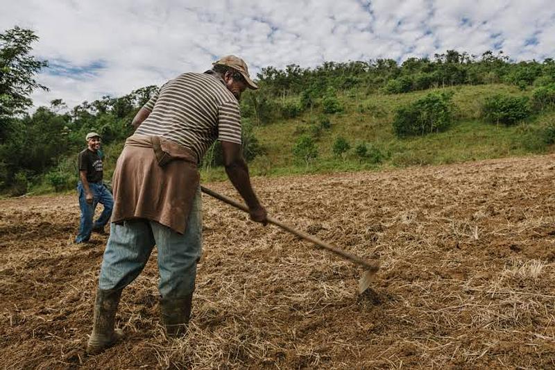 Gobierno defiende protección de suelos agrícolas