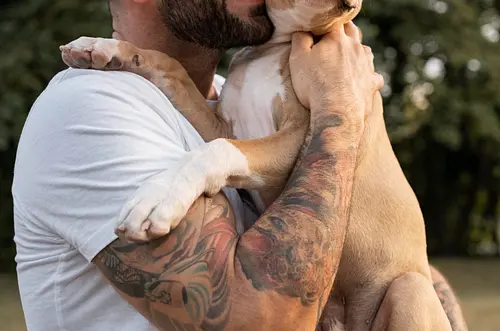 Obesidad en mascotas: una alerta silenciosa