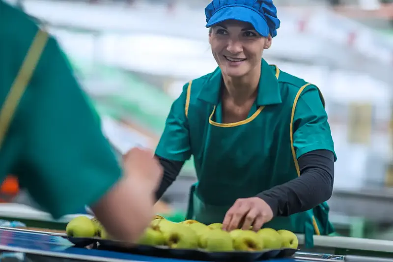 Exportaciones agrícolas lideran crecimiento nacional