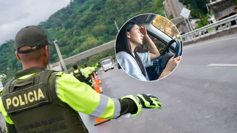 ¿Vidrios polarizados? Lo que la ley sí permite en Colombia