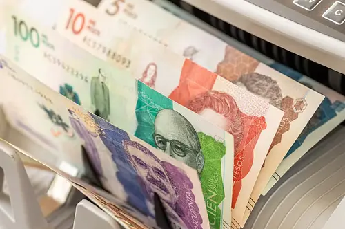 Consejo de Estado anula restricción sobre contratos administrativos