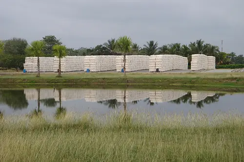 Decreto 1197 redefine el mercado algodonero nacional