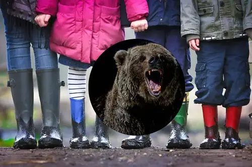 Oso desata pánico y deja 11 heridos en salida escolar