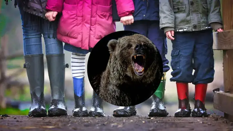 Oso desata pánico y deja 11 heridos en salida escolar