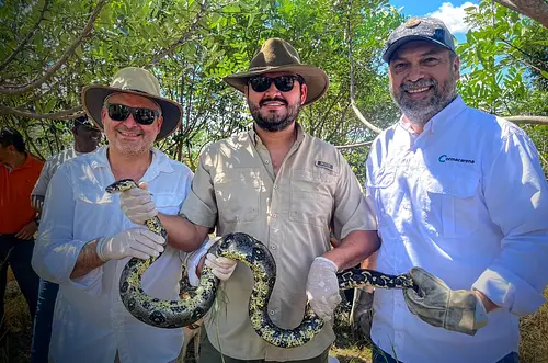 Liberan 120 animales víctimas de tráfico en el Meta