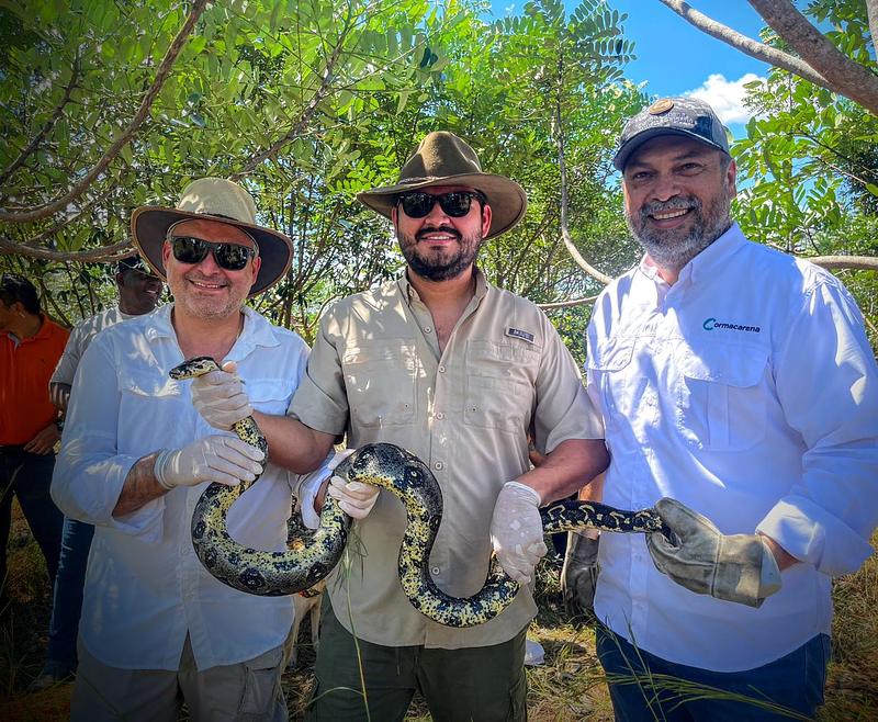 Liberan 120 animales víctimas de tráfico en el Meta