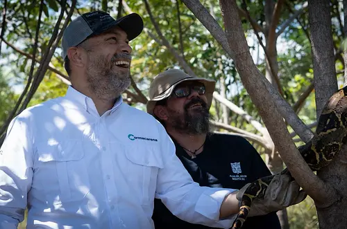 Cormacarena liberó 120 animales víctimas de tráfico ilegal