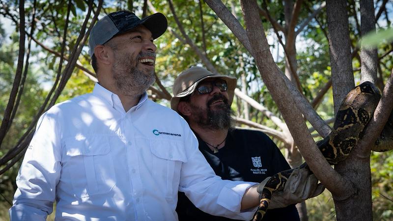 Cormacarena liberó 120 animales víctimas de tráfico ilegal