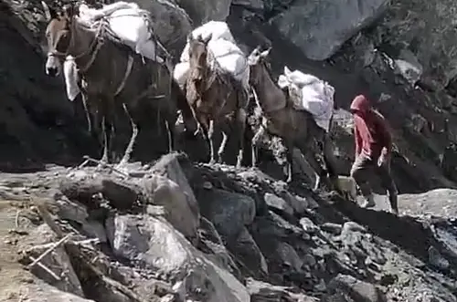 Aislados por la tierra: un pueblo depende de mulas para comer