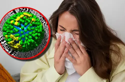 Alerta global por la gripe H3N2: ¿qué tan grave es?