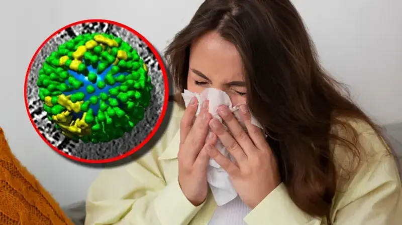 Alerta global por la gripe H3N2: ¿qué tan grave es?